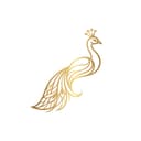 Logo Icon